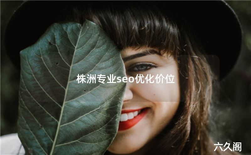 株洲专业seo优化价位-JieYingAI捷鹰AI